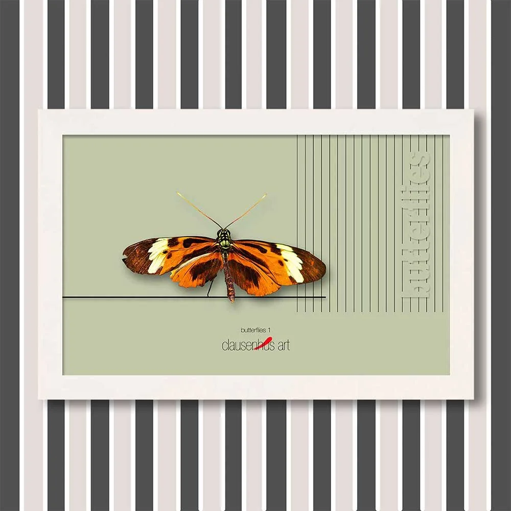 butterflies-1-copy.jpg