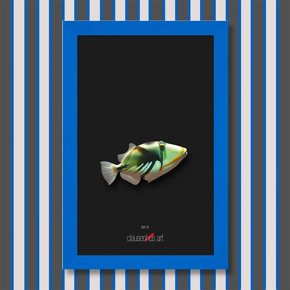 fish-6-copy.jpg