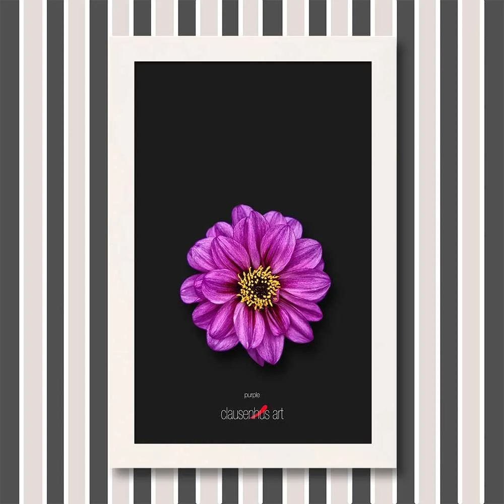 purple-copy.jpg