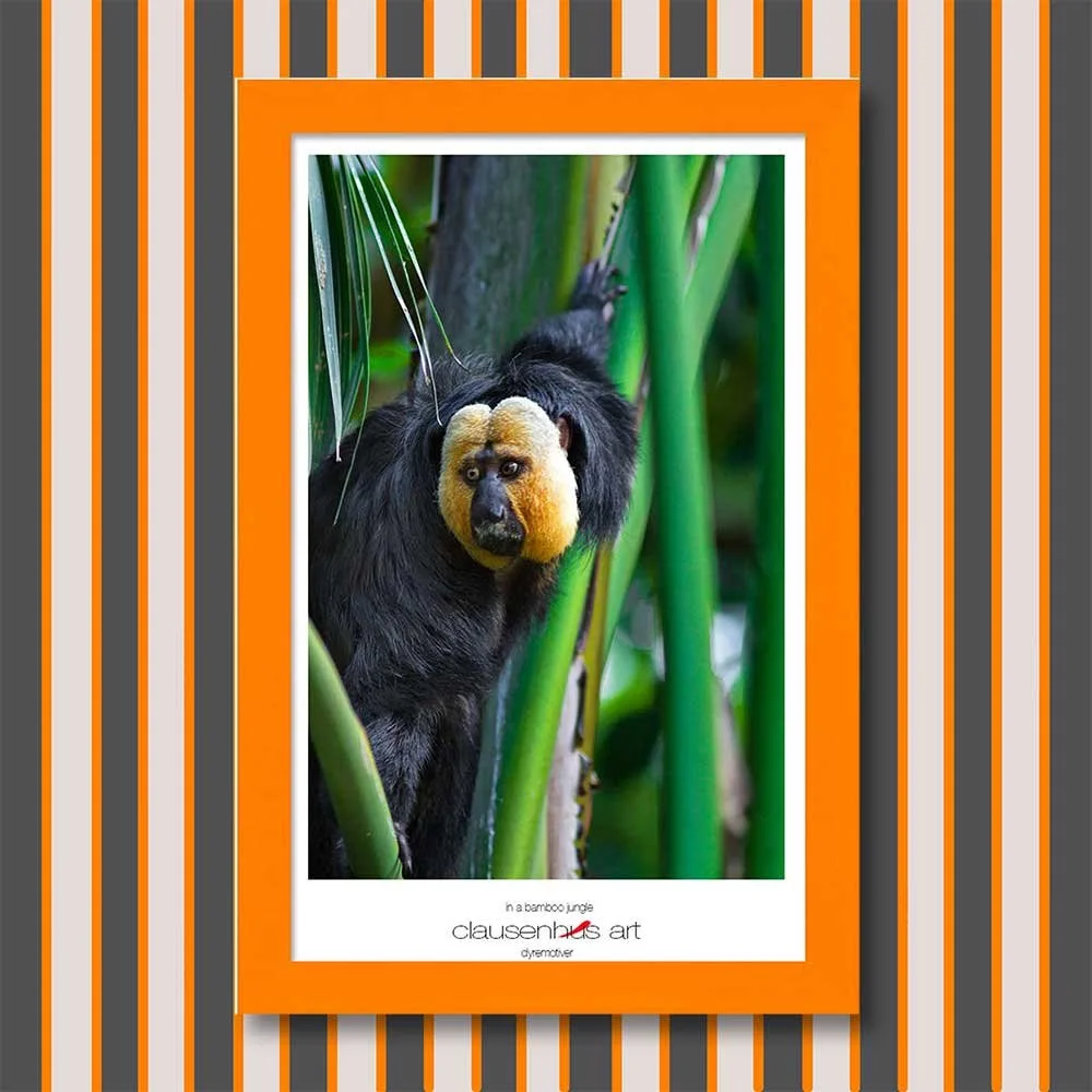 in-a-bamboo-jungle-copy.jpg