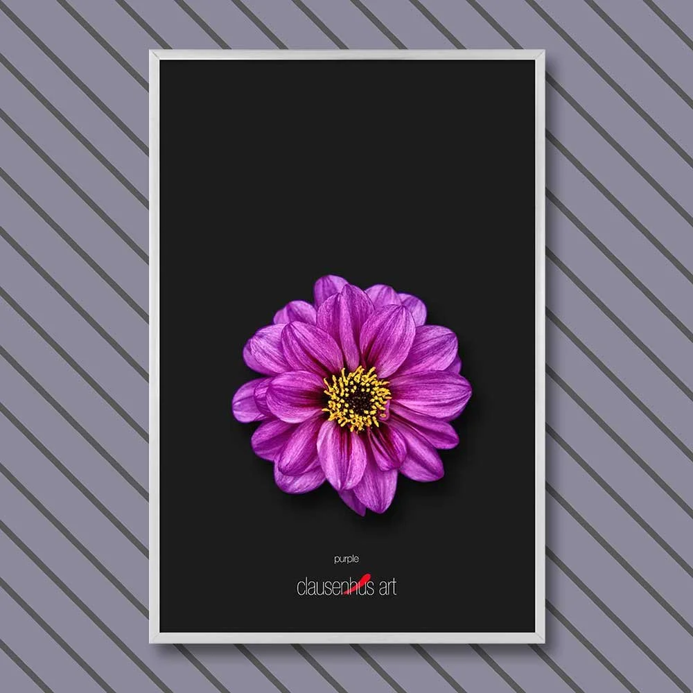 purple-copy.jpg