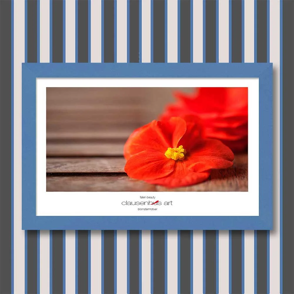 fallen-beauty-copy.jpg
