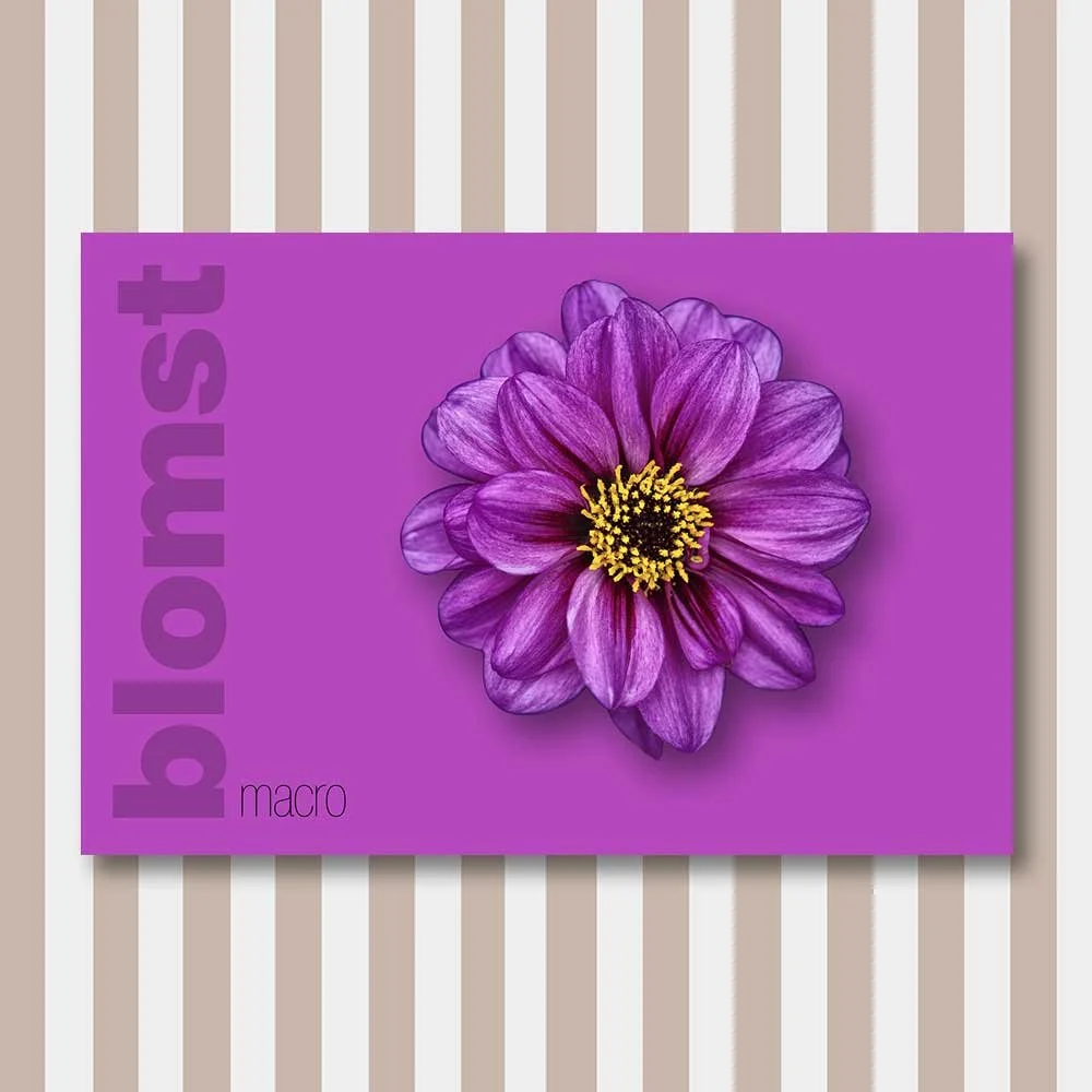 blomst 6.jpg