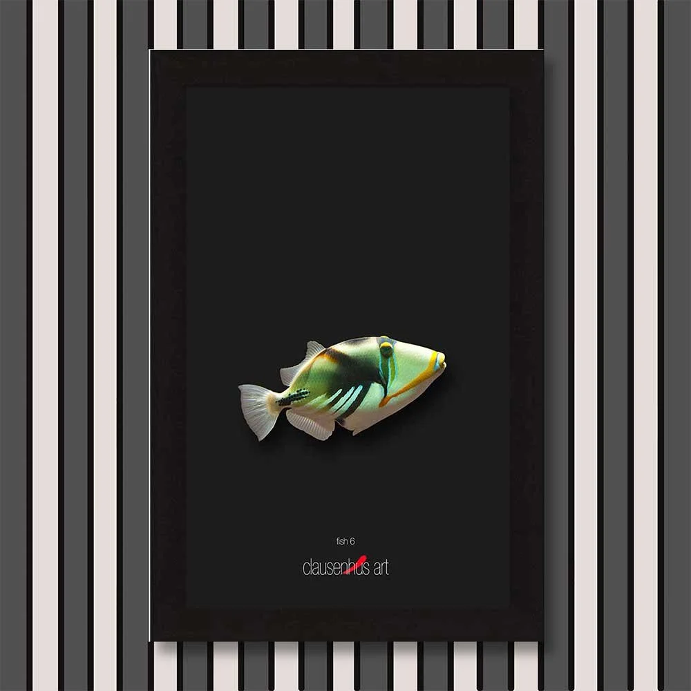 fish-6-copy.jpg