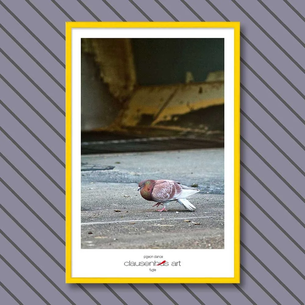 pigeon-dance-copy.jpg