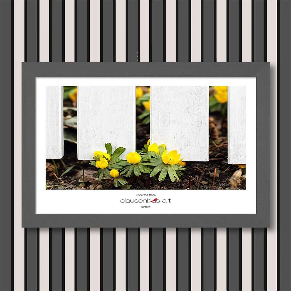 under-the-fence-copy.jpg