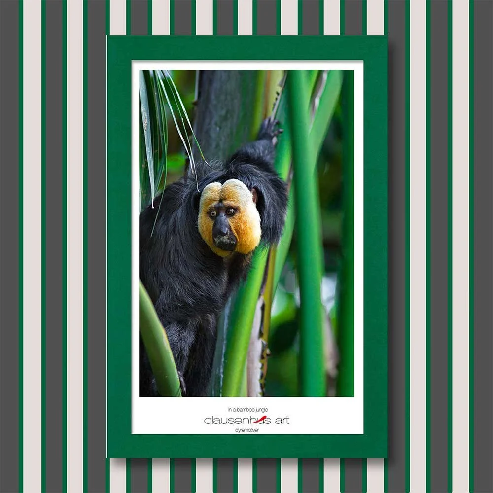in-a-bamboo-jungle-copy.jpg