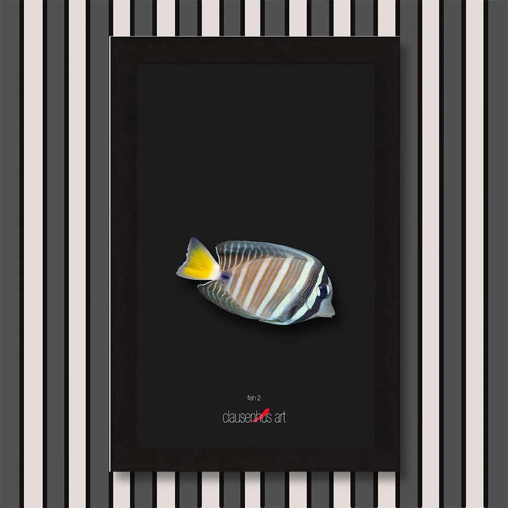 fish-2-copy.jpg