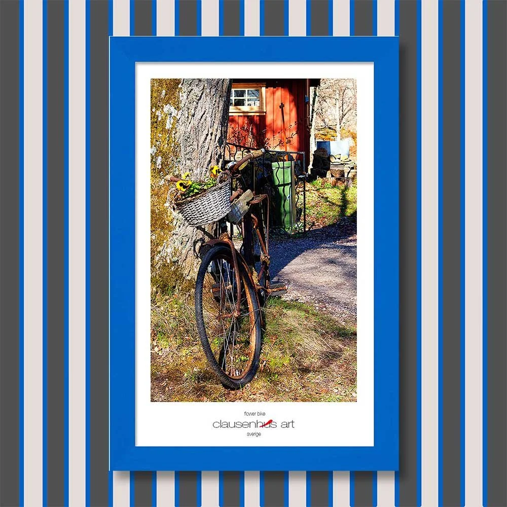 flower-bike-copy.jpg