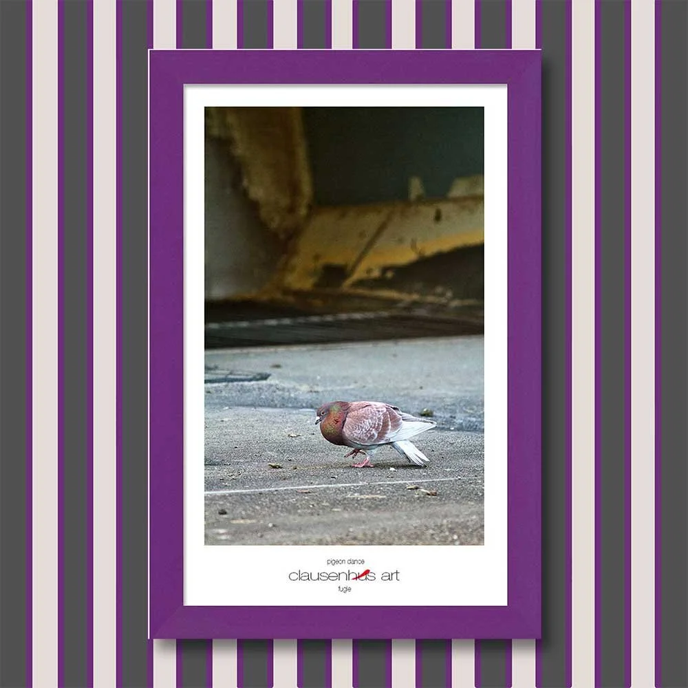 pigeon-dance-copy.jpg