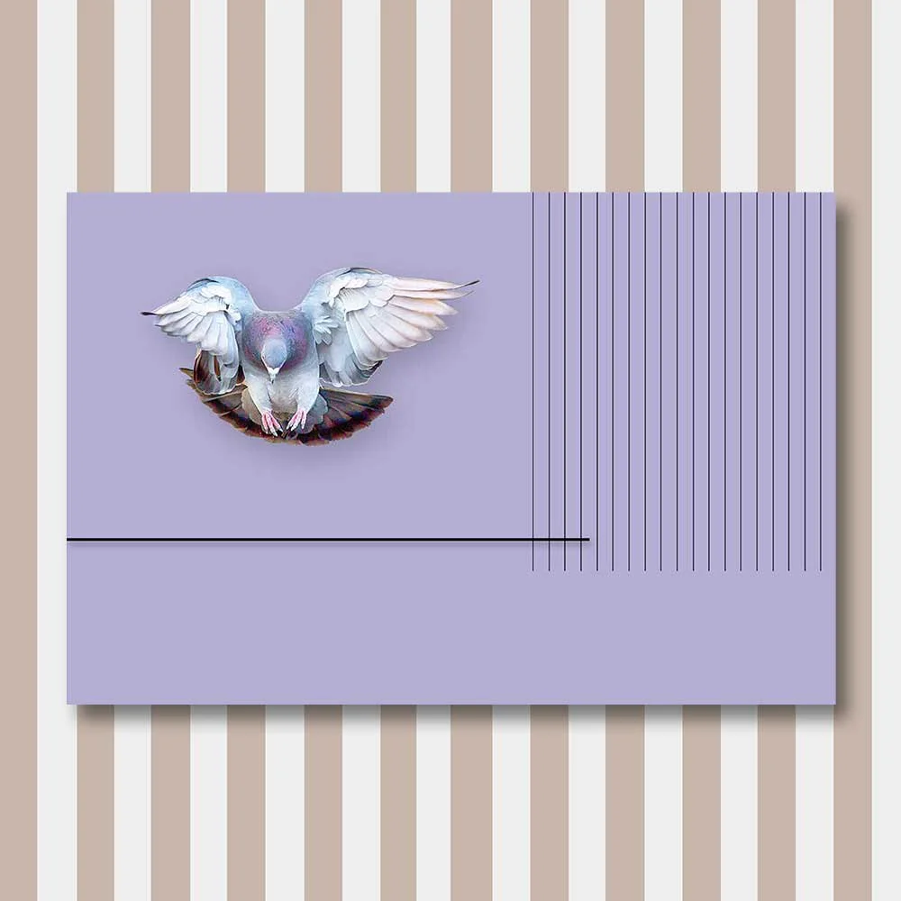 bird 10.jpg
