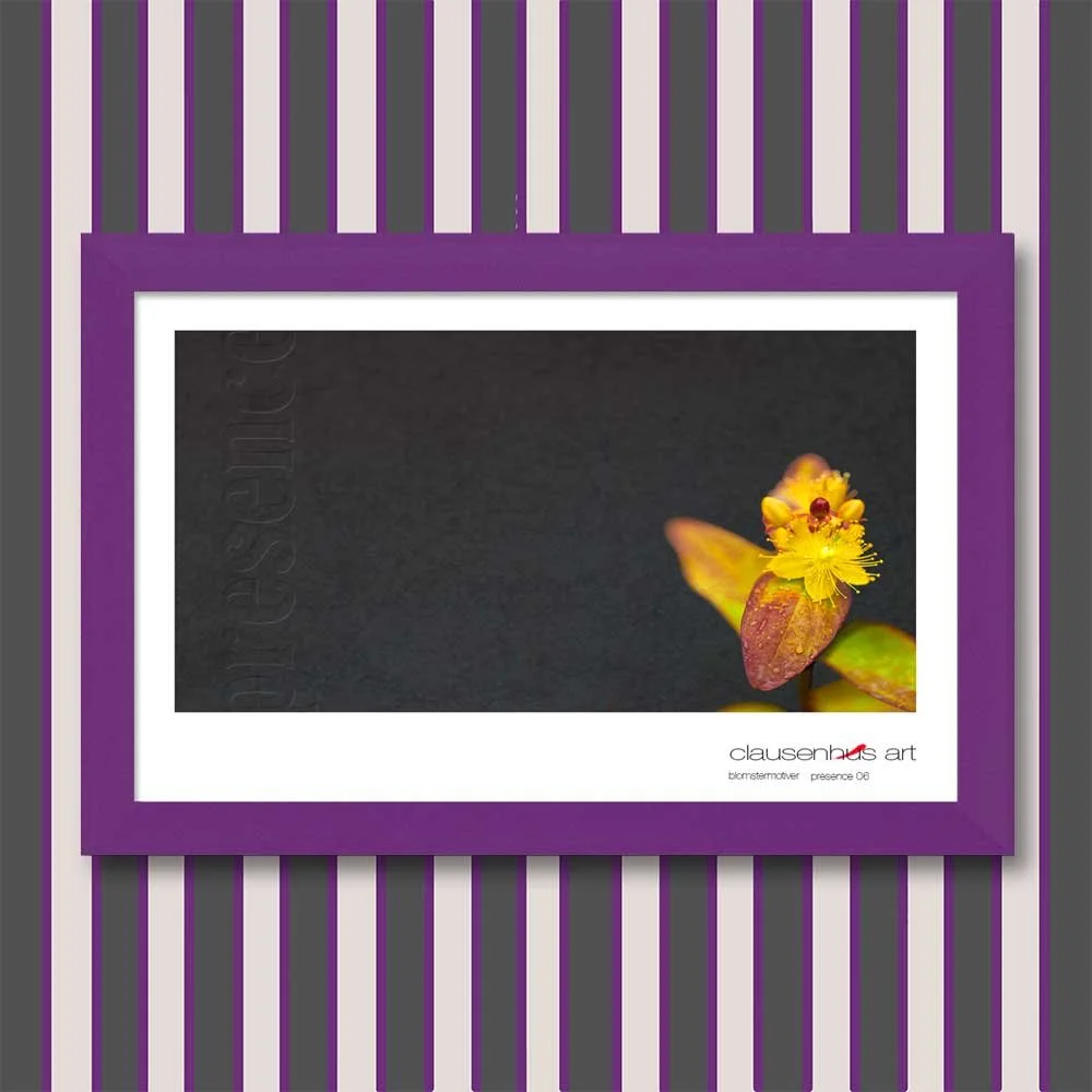 presence-06.jpg