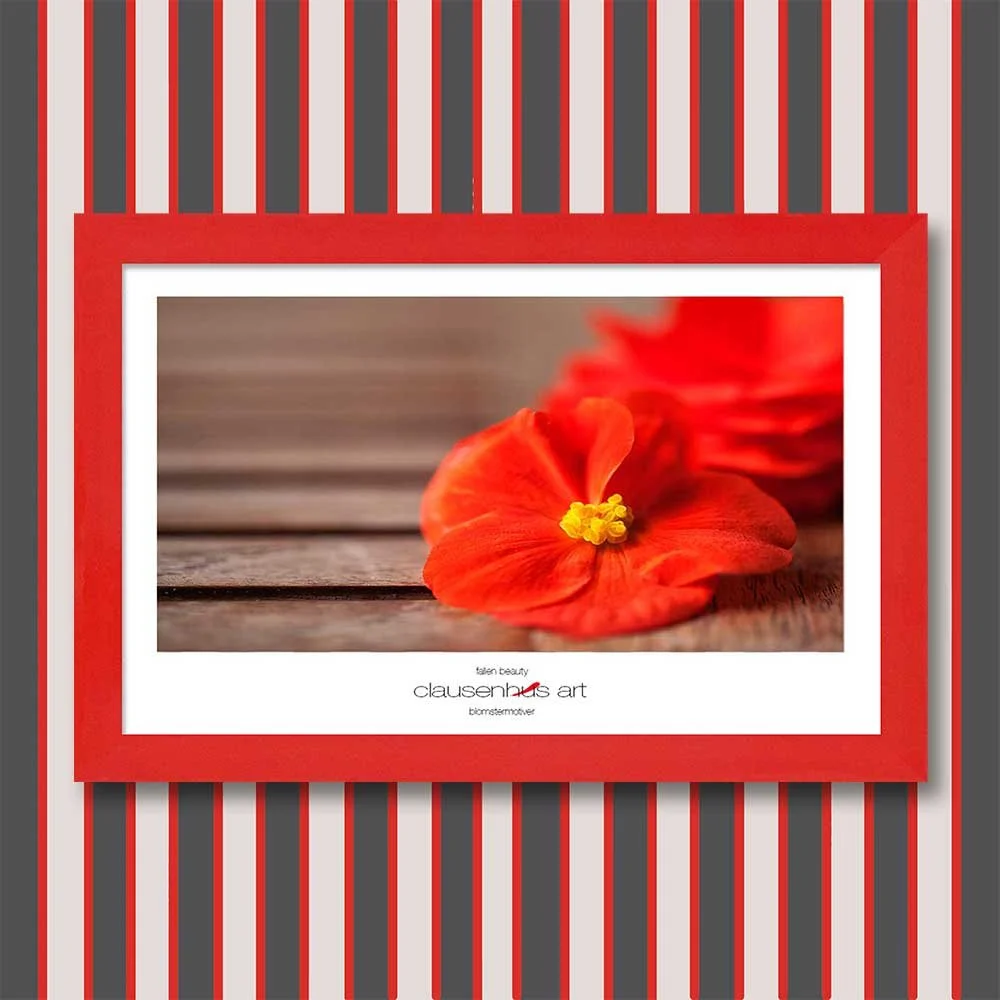 fallen-beauty-copy.jpg