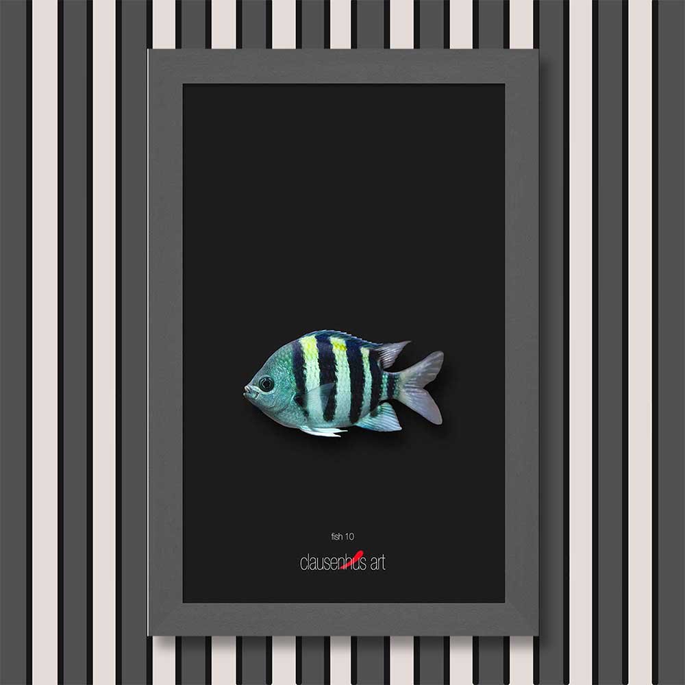 fish-10-copy.jpg
