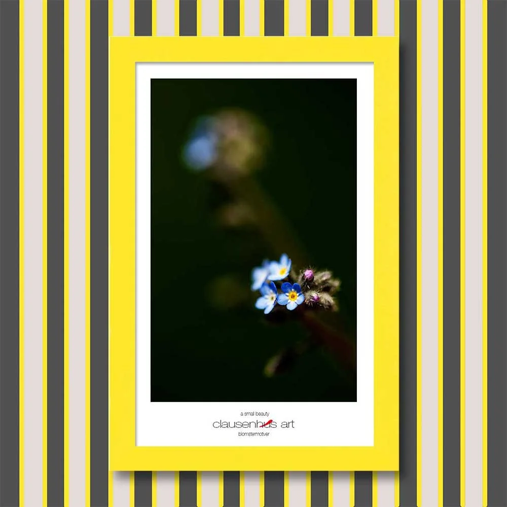a-small-beauty-copy.jpg