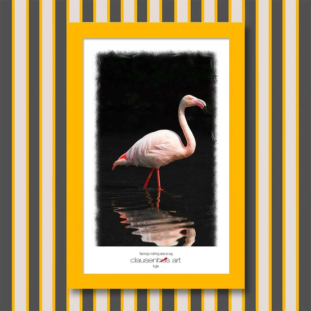 flamingo-nothing-else-to-say.jpg