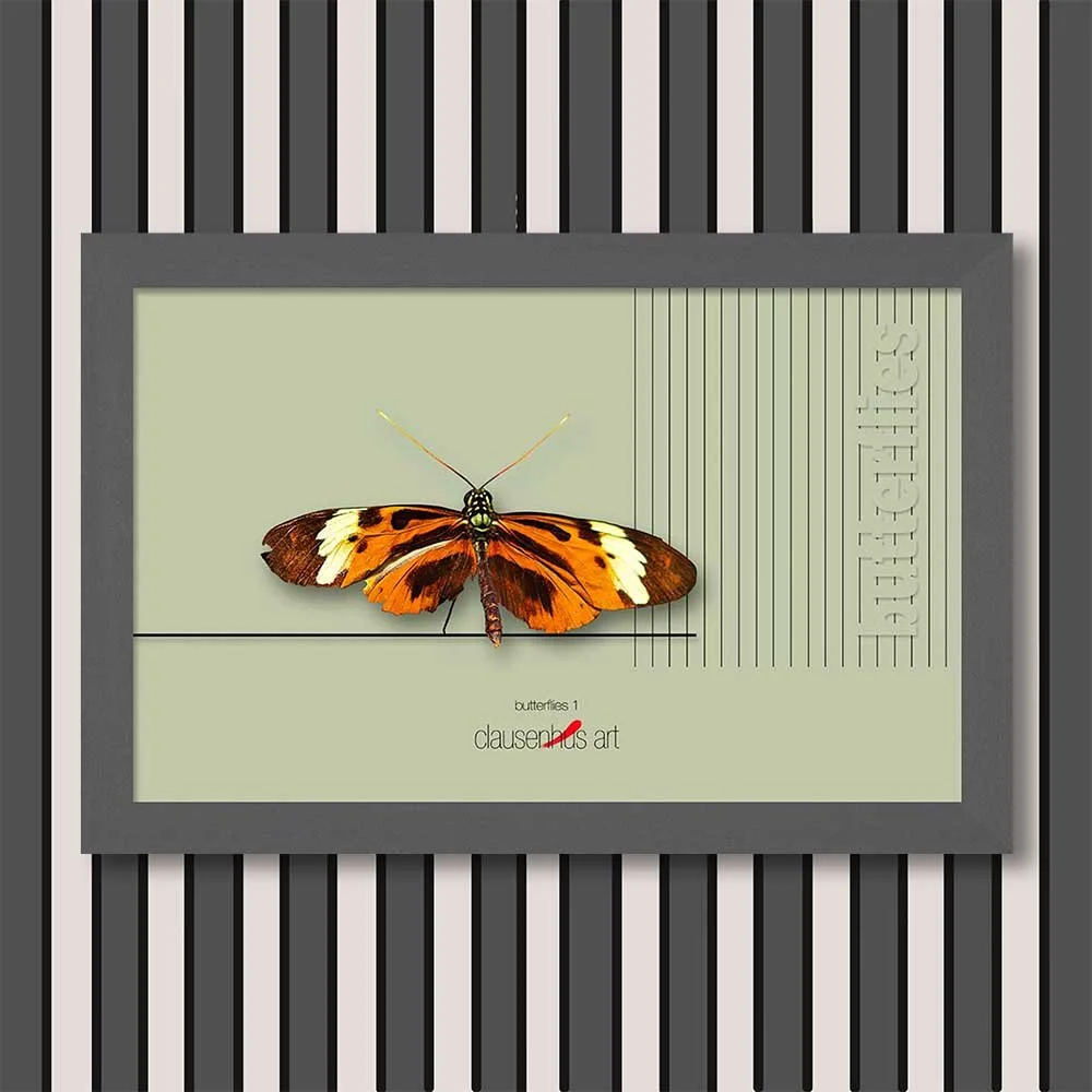 butterflies-1-copy.jpg