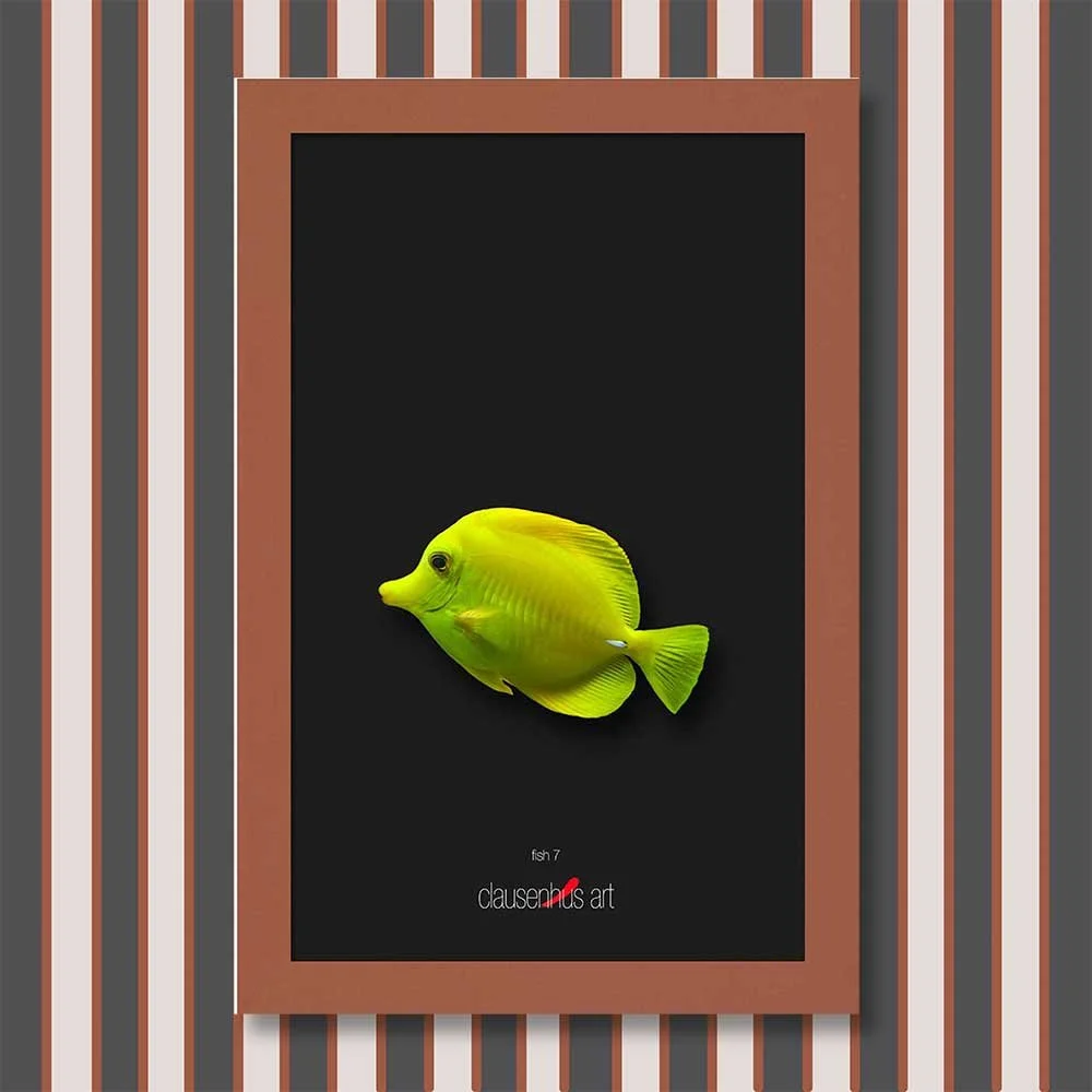 fish-7-copy.jpg