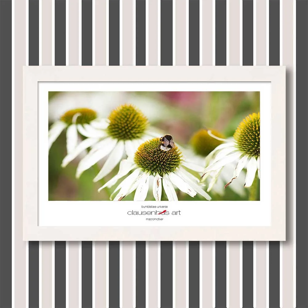 bumblebee-universe-copy.jpg