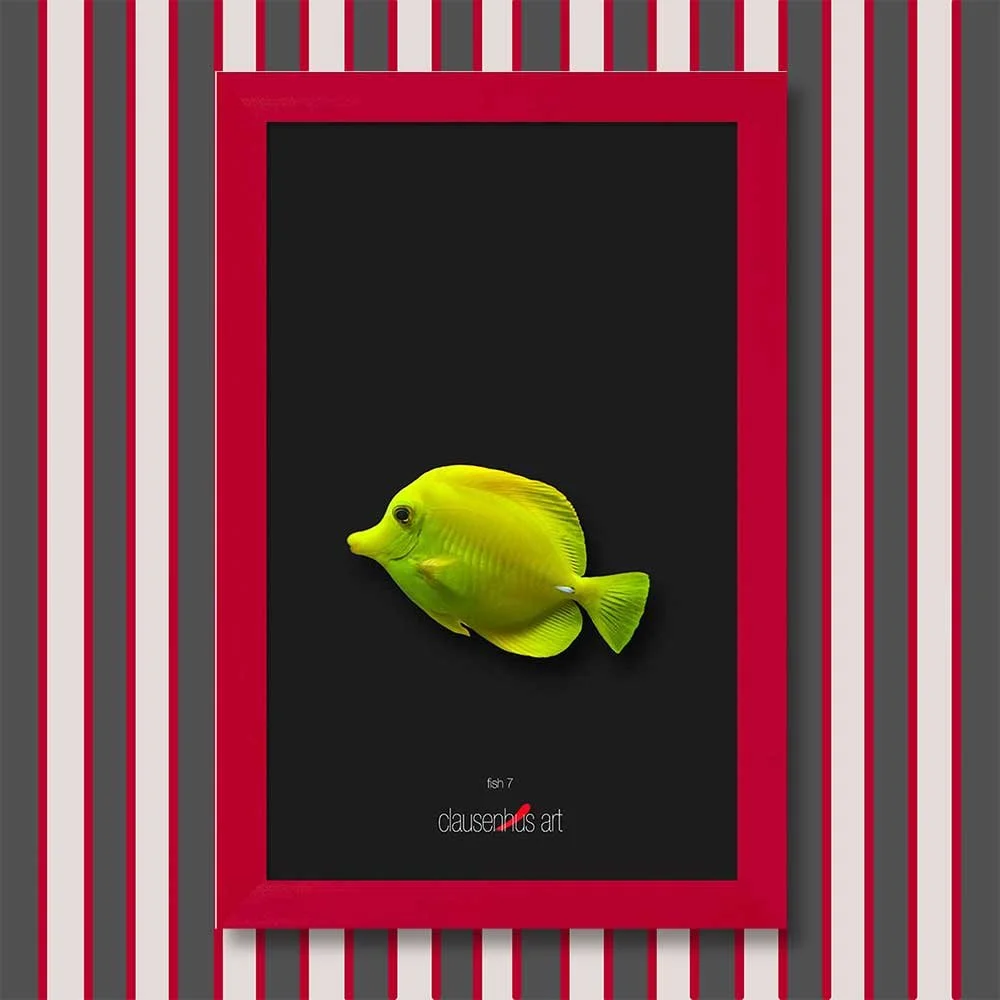 fish-7-copy.jpg
