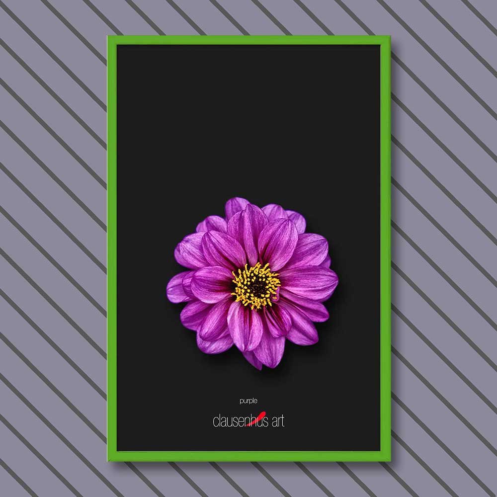 purple-copy.jpg