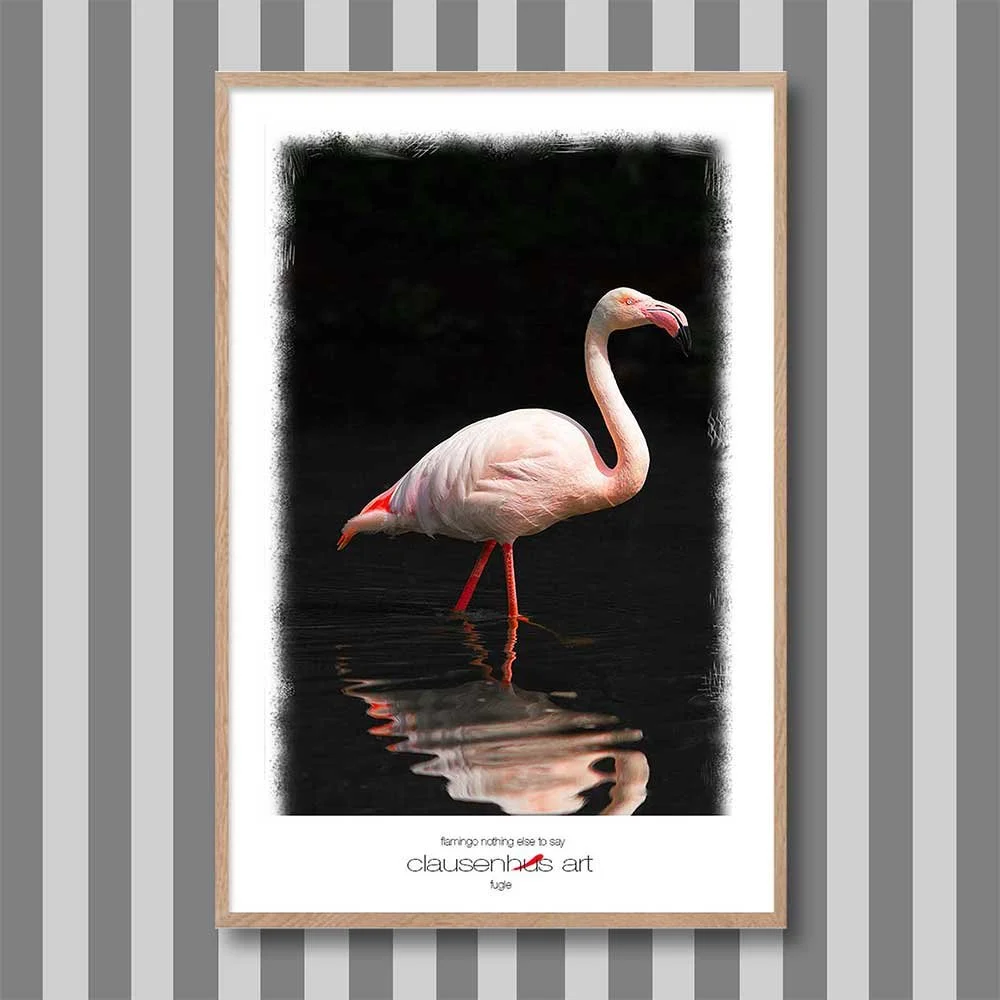 flamingo-nothing-else-to-say-copy.jpg