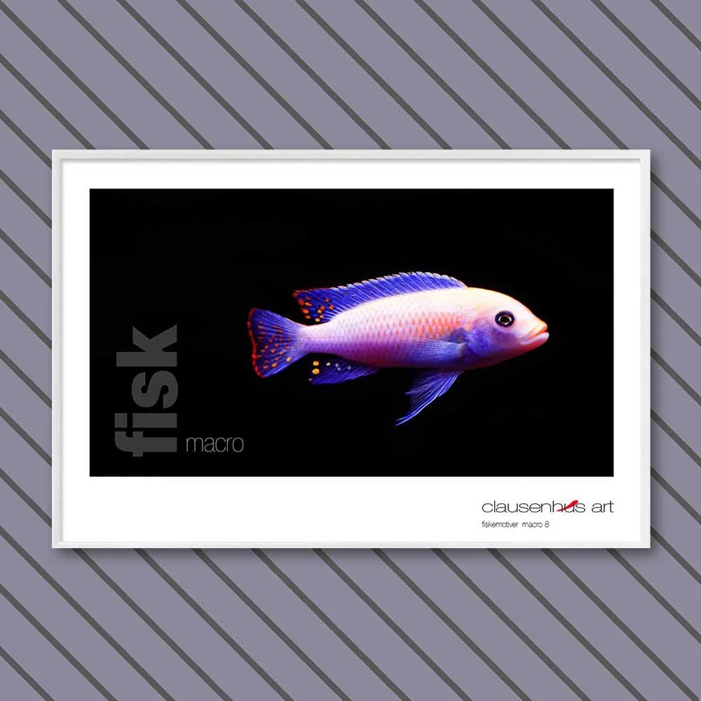 fiskemotiv-8-copy.jpg