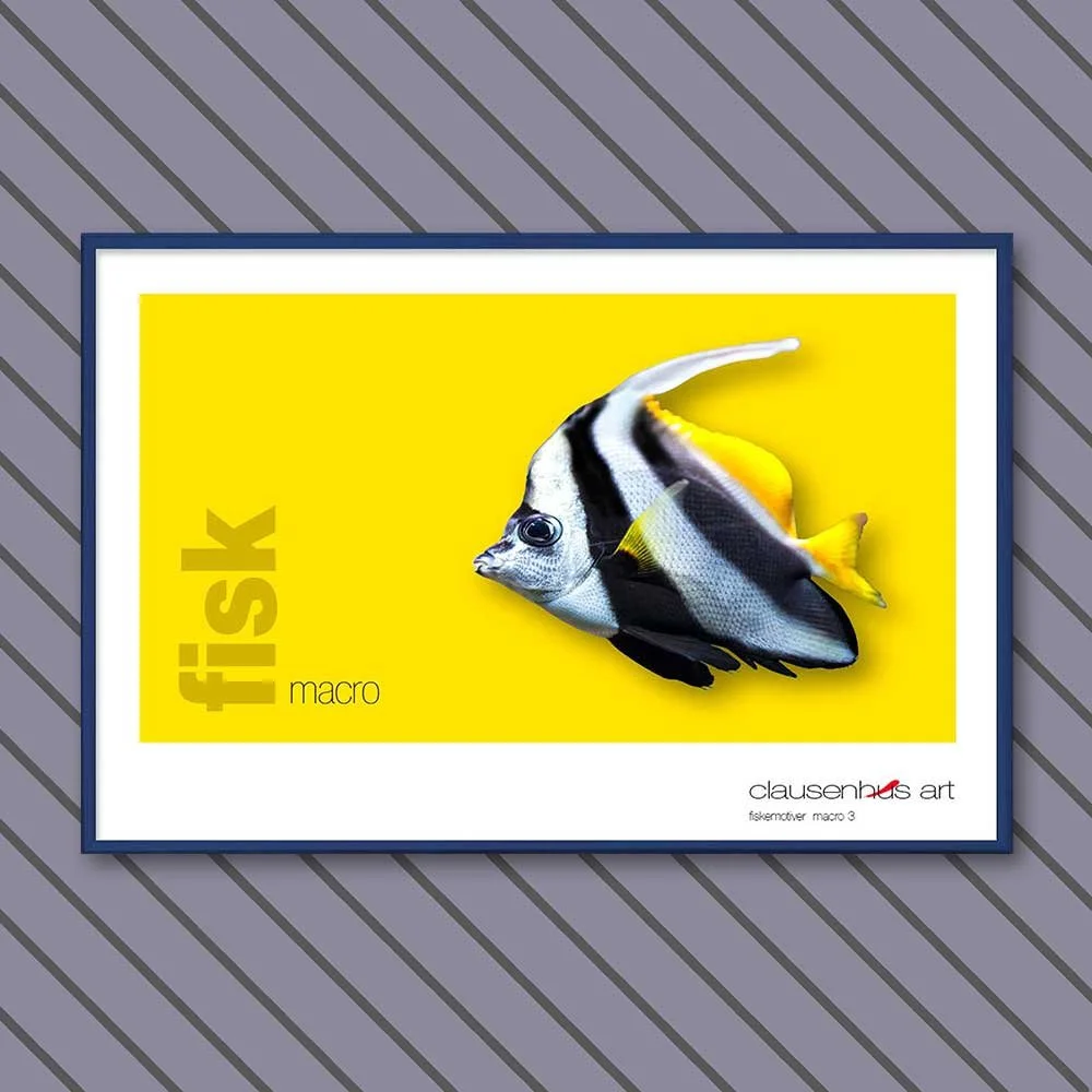 fiskemotiv-3-copy.jpg