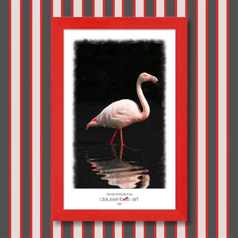flamingo-nothing-else-to-say.jpg
