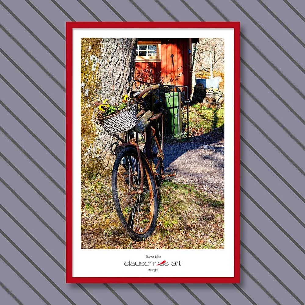 flower-bike-copy.jpg