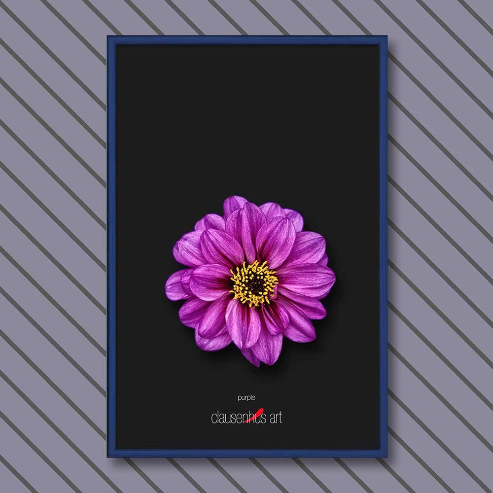 purple-copy.jpg
