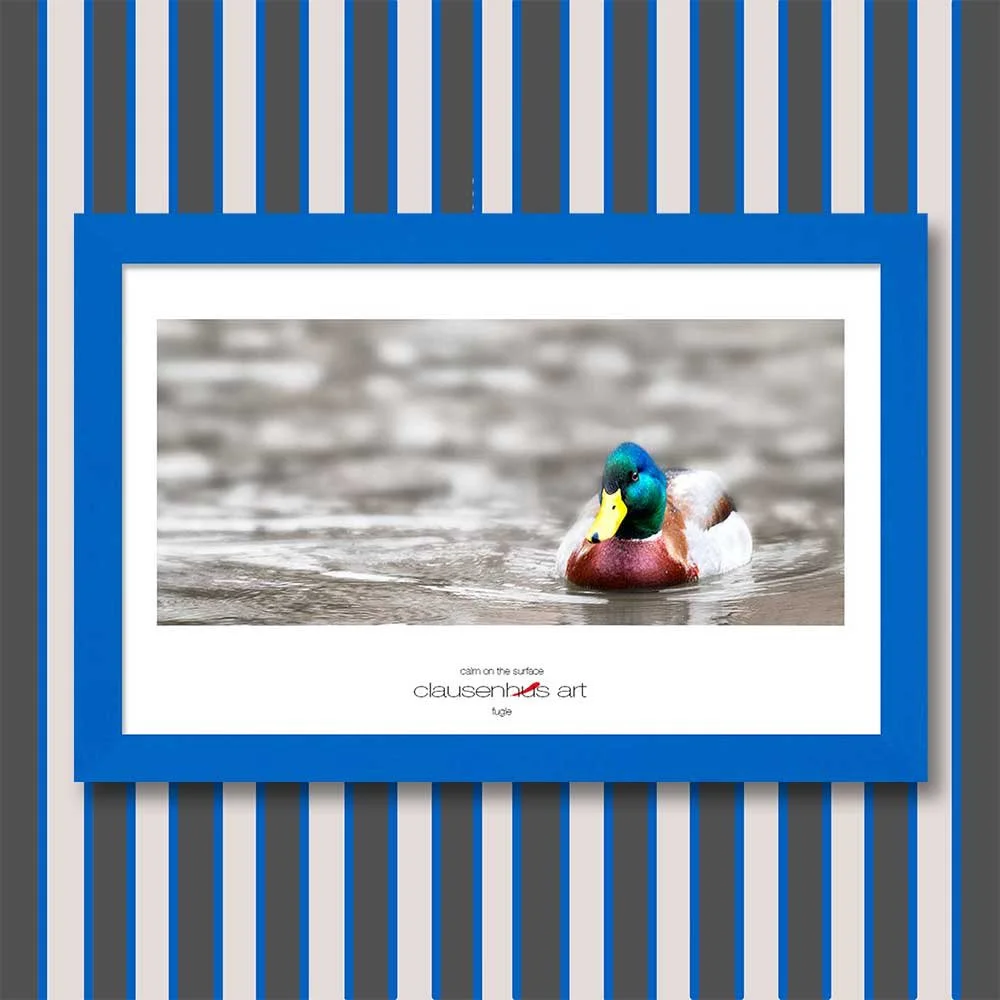 calm-on-the-surface-copy.jpg
