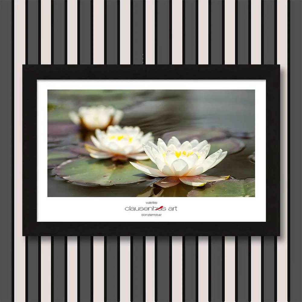 waterlilies-copy.jpg