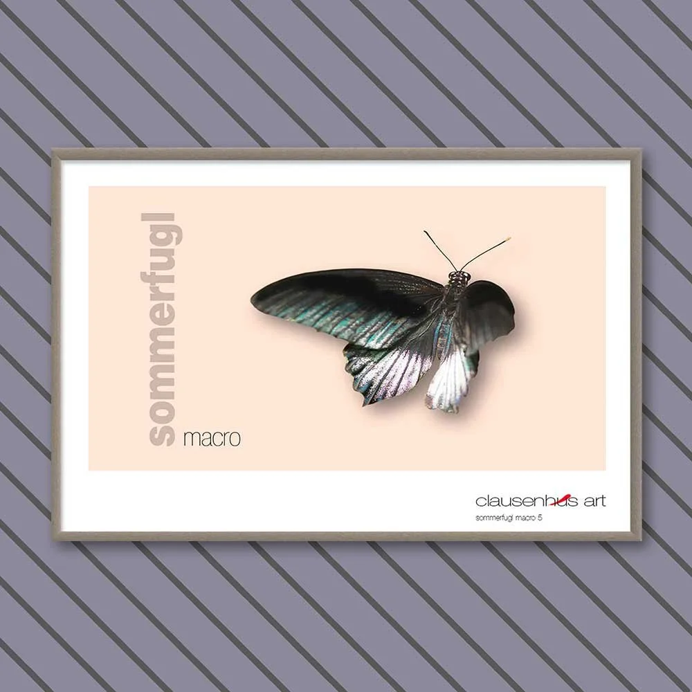 sommerfugl-5-copy.jpg