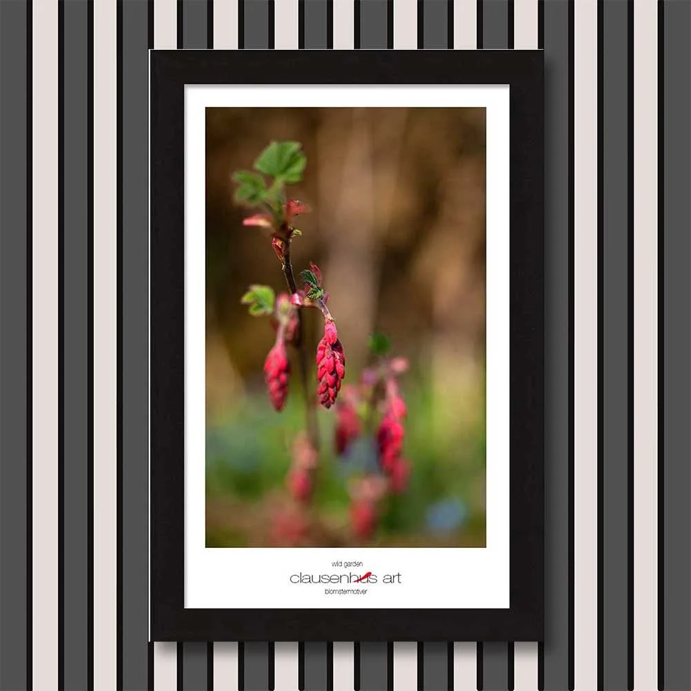 wild-garden-copy.jpg