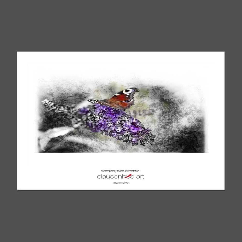 contemporary-macro-interpretation-1.jpg