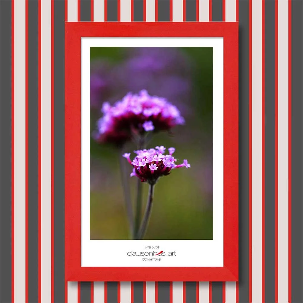 small-purple-copy.jpg