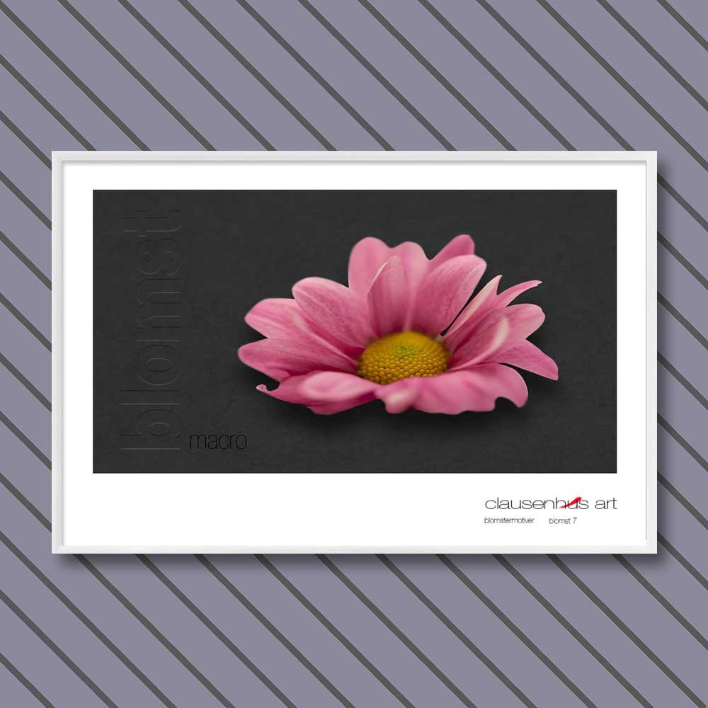 blomst-7.jpg