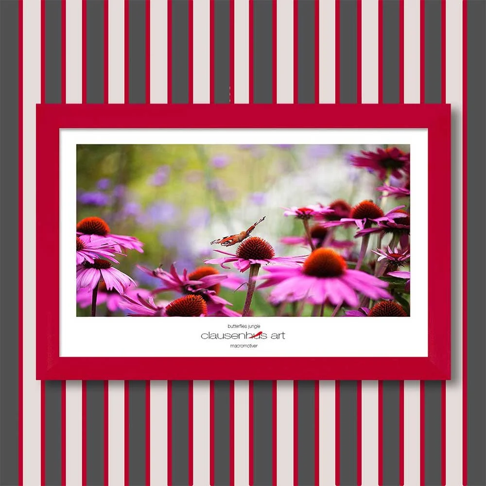 butterflies-jungle-copy.jpg