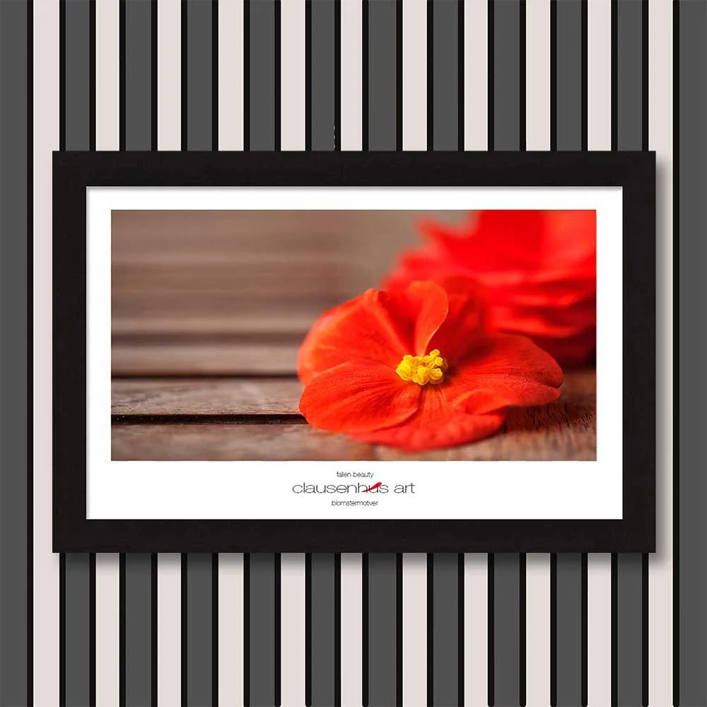 fallen-beauty-copy.jpg