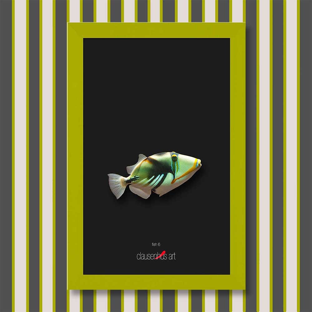 fish-6-copy.jpg