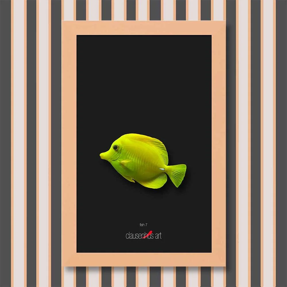 fish-7-copy.jpg