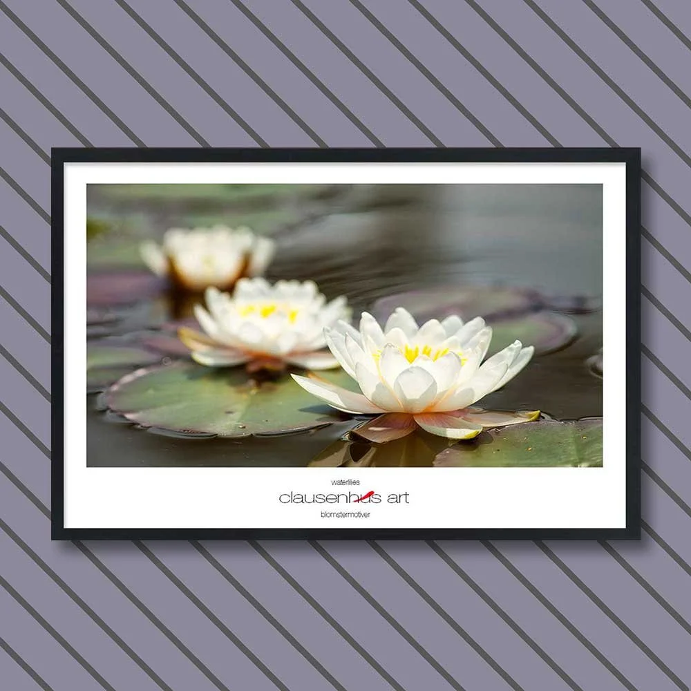 waterlilies-copy.jpg