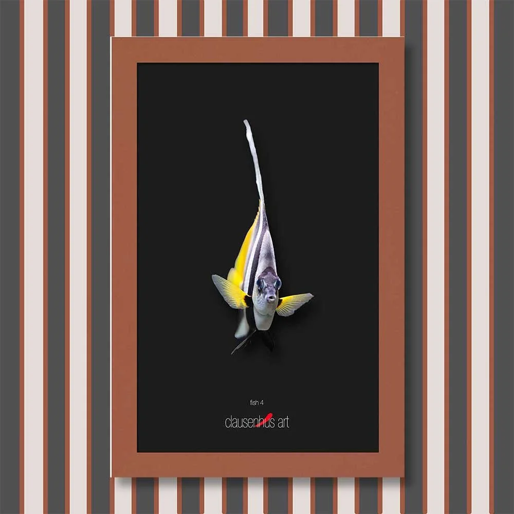 fish-4-copy.jpg