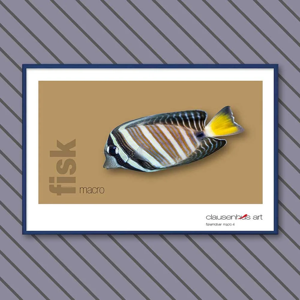 fiskemotiv-4-copy.jpg