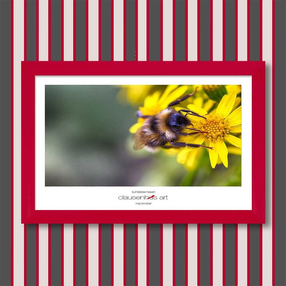 bumblebee-heaven-copy.jpg