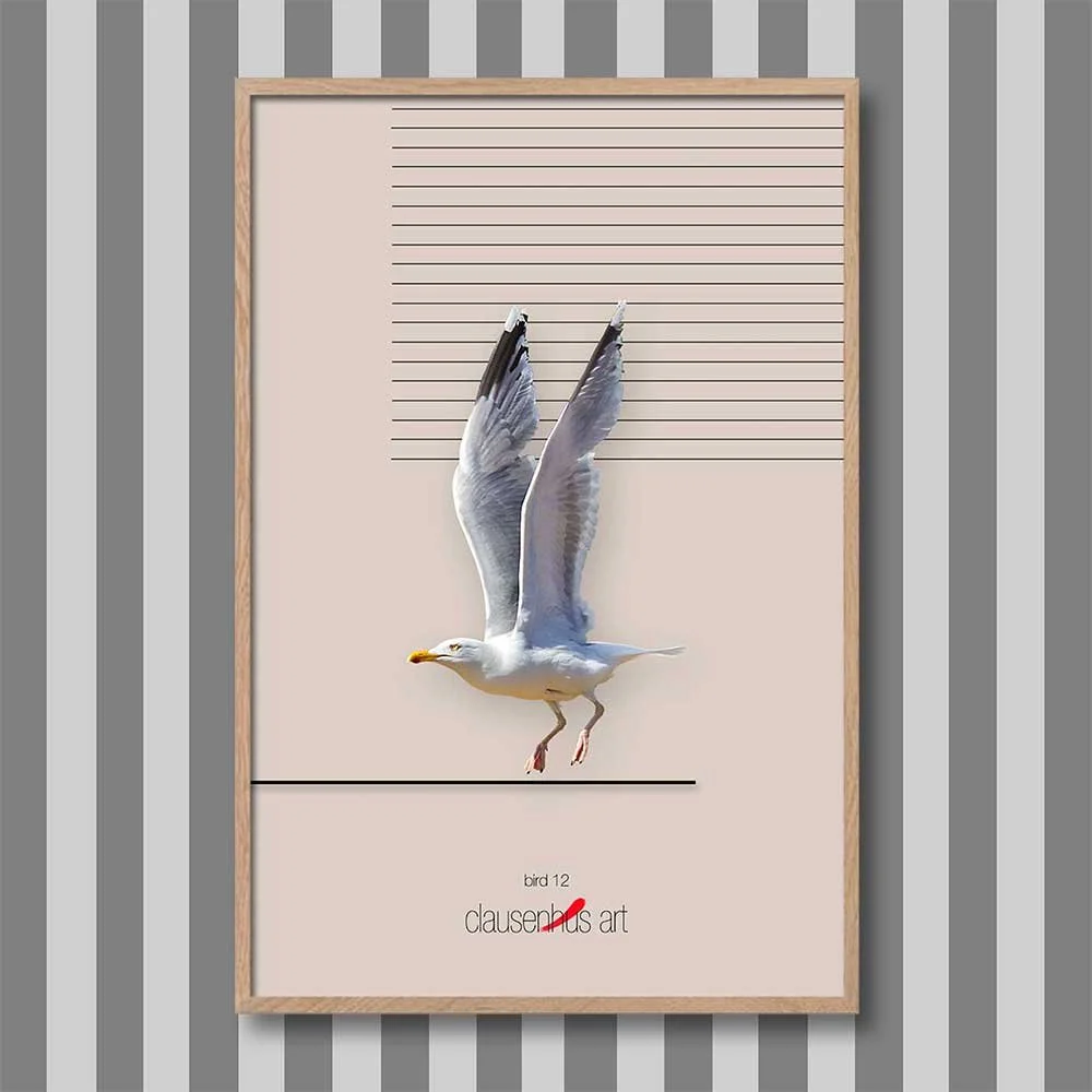 bird-12.jpg