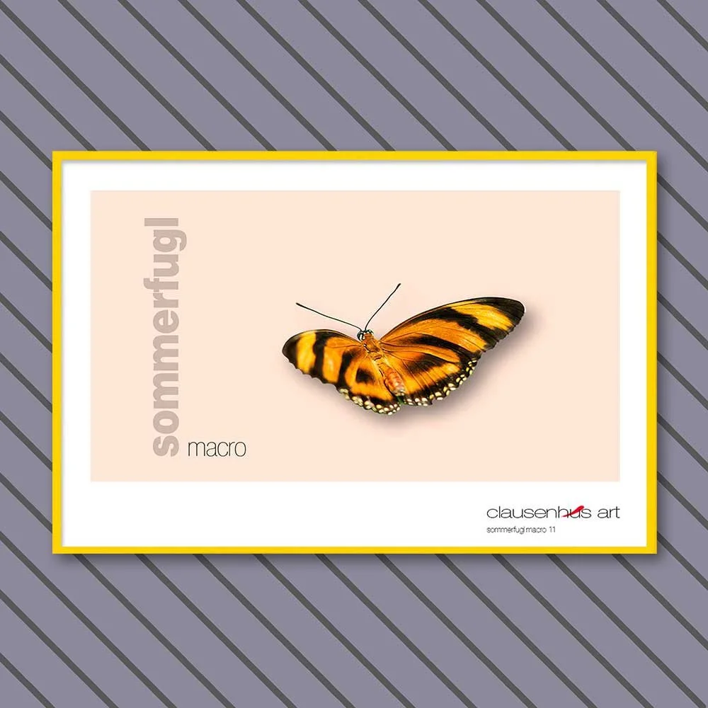sommerfugl-11-copy.jpg