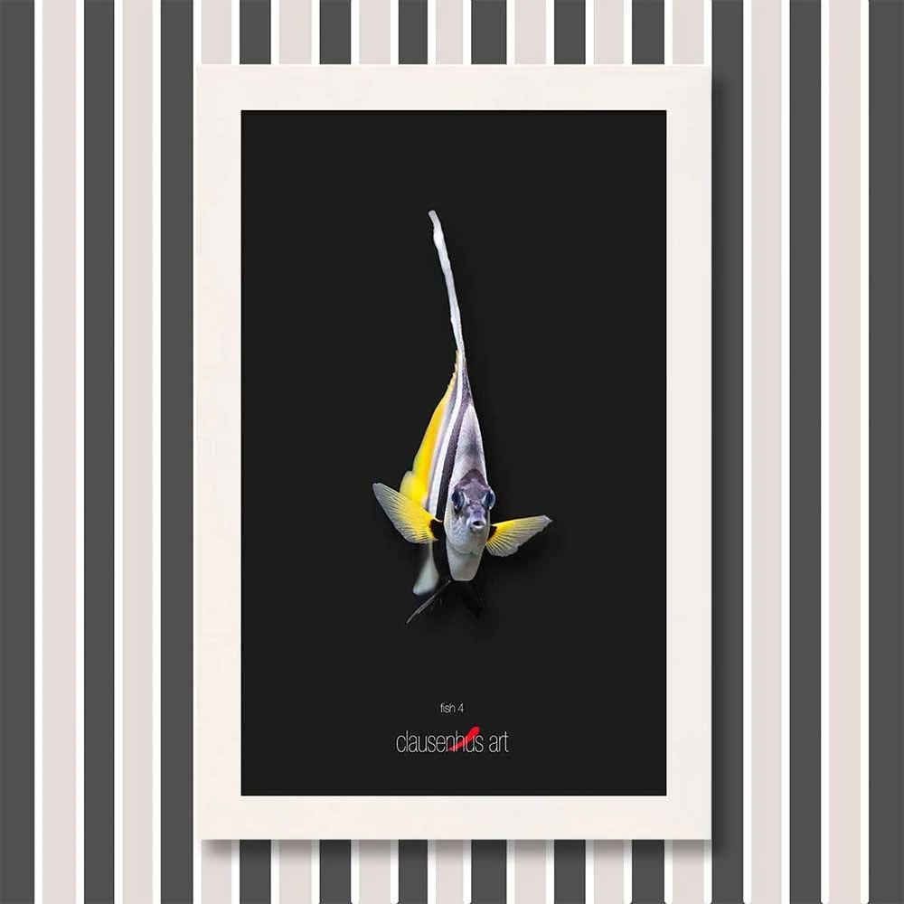 fish-4-copy.jpg