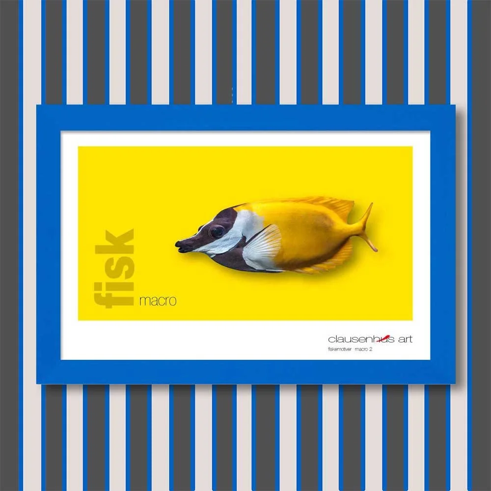fiskemotiv-2-copy.jpg